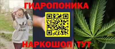 apvp Мариинск