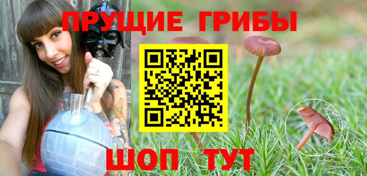 Сухой Лог  Галлюциногенные грибы Magic Shrooms  купить   Вход с VPN 